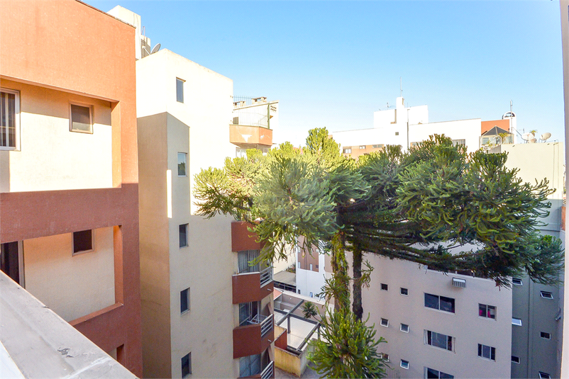 Foto REO1114299