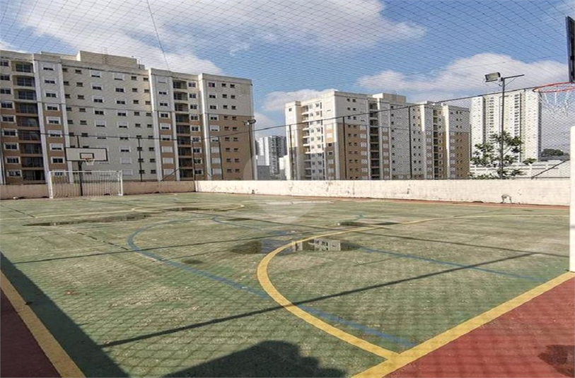 Foto REO1114308