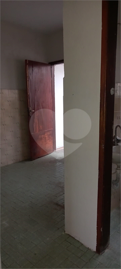 Foto REO1114317