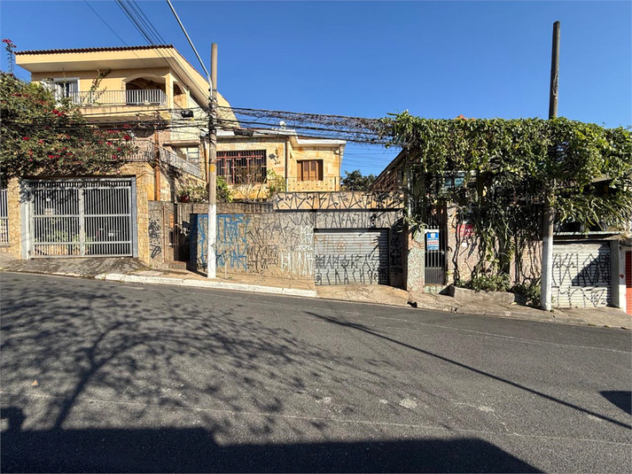 Foto REO1114318