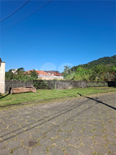 Foto REO1114319