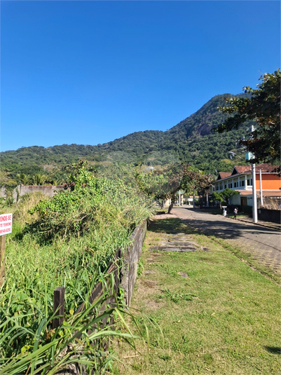 Foto REO1114319