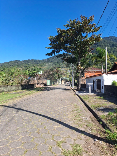 Foto REO1114319