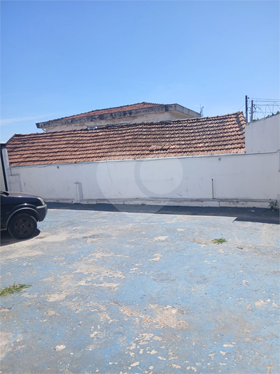 Foto REO1114321