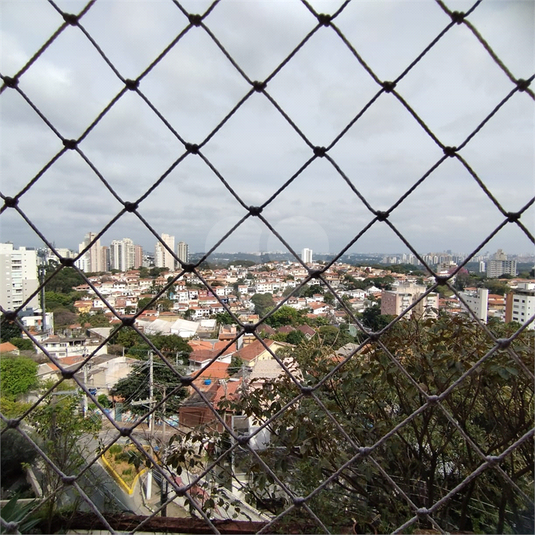 Foto REO1114323