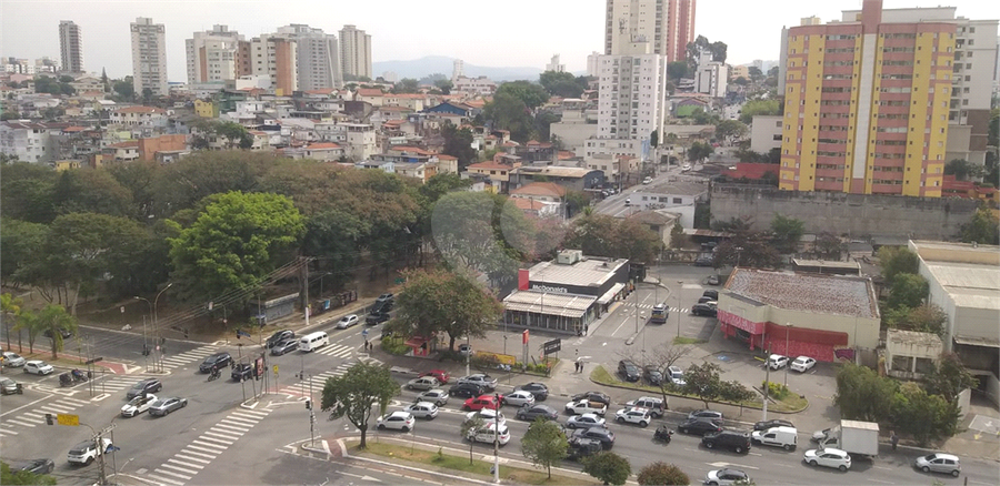 Foto REO1114326