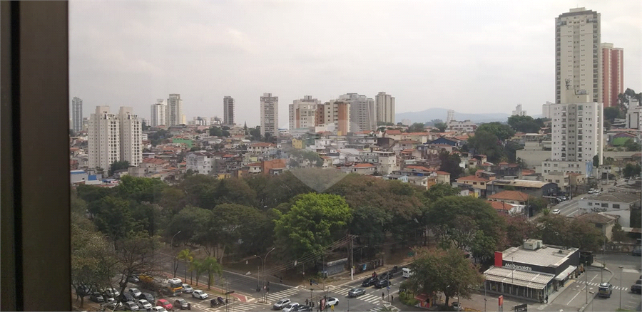 Foto REO1114326