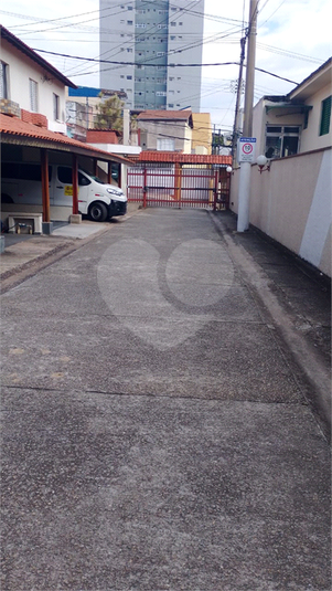 Foto REO1114335