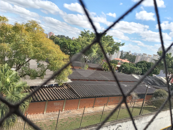 Foto REO1114337