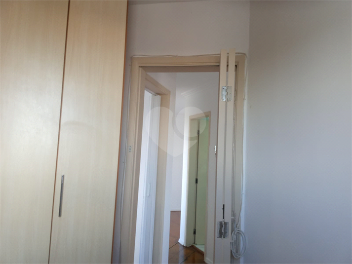 Foto REO1114337