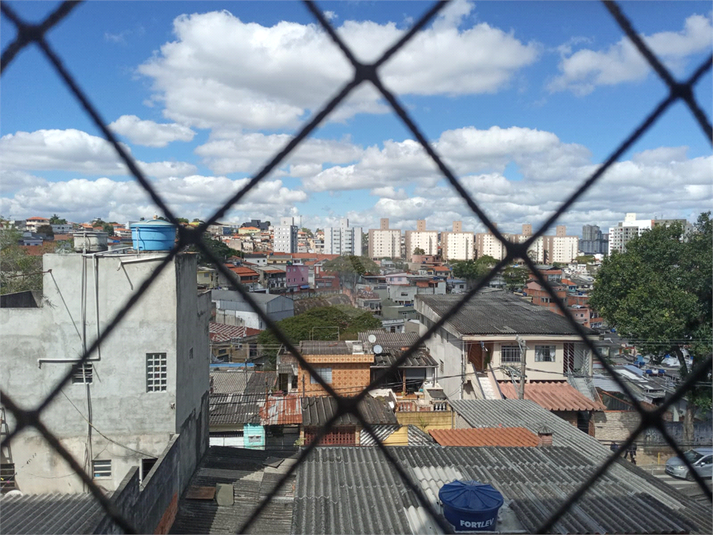 Foto REO1114337