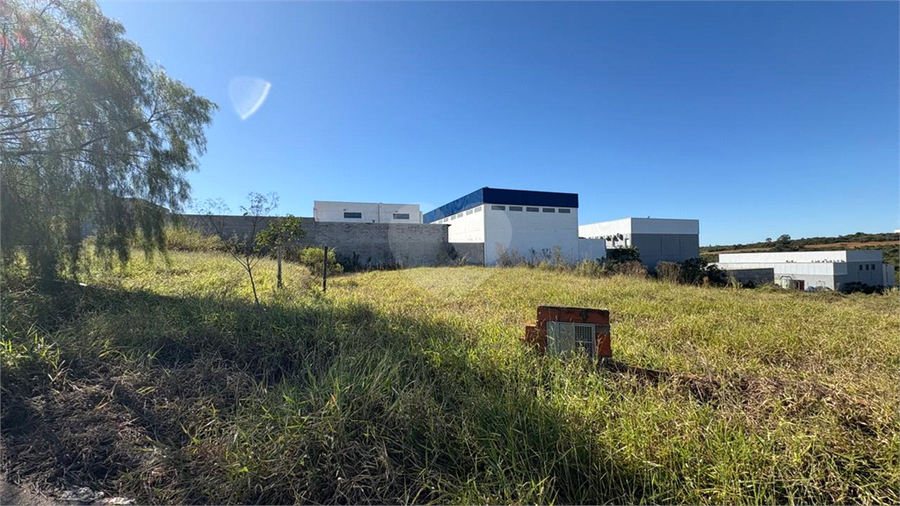 Foto REO1114340
