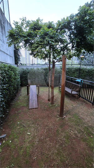 Foto REO1114341
