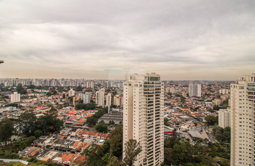 Foto REO1114343