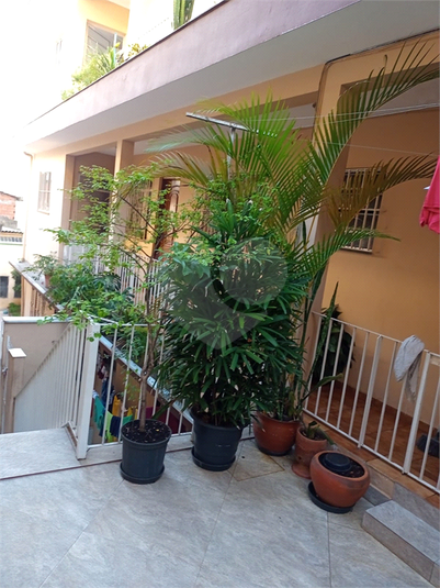 Foto REO1114349
