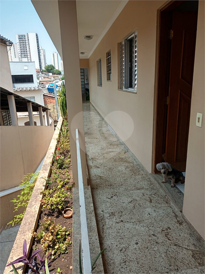 Foto REO1114349