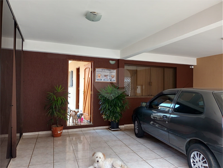 Foto REO1114349