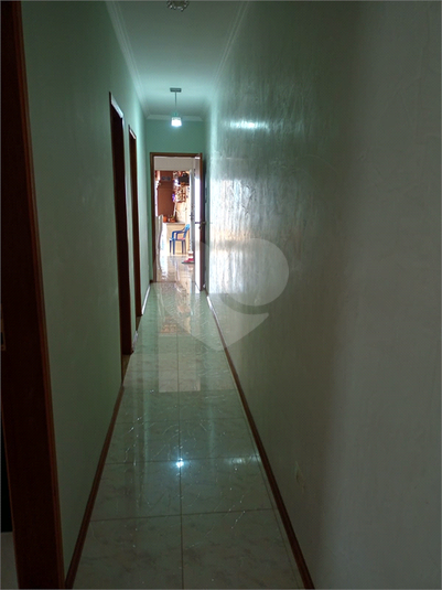 Foto REO1114349