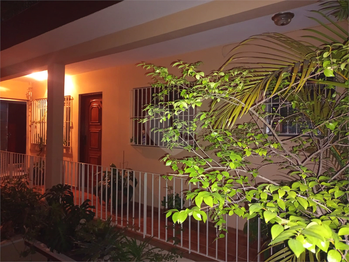 Foto REO1114349