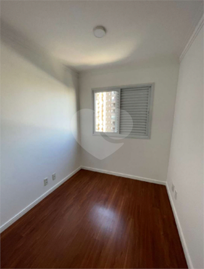 Foto REO1114350