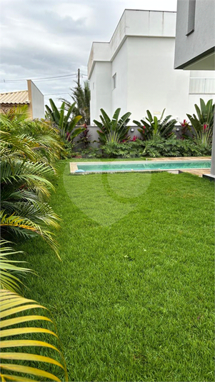 Foto REO1114352