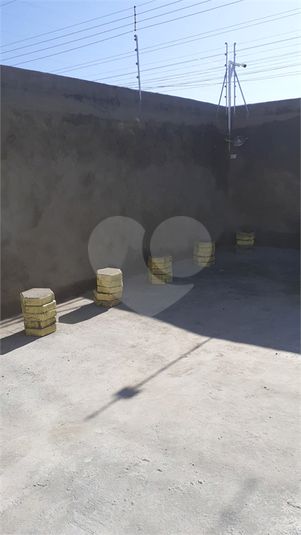 Foto REO1114355