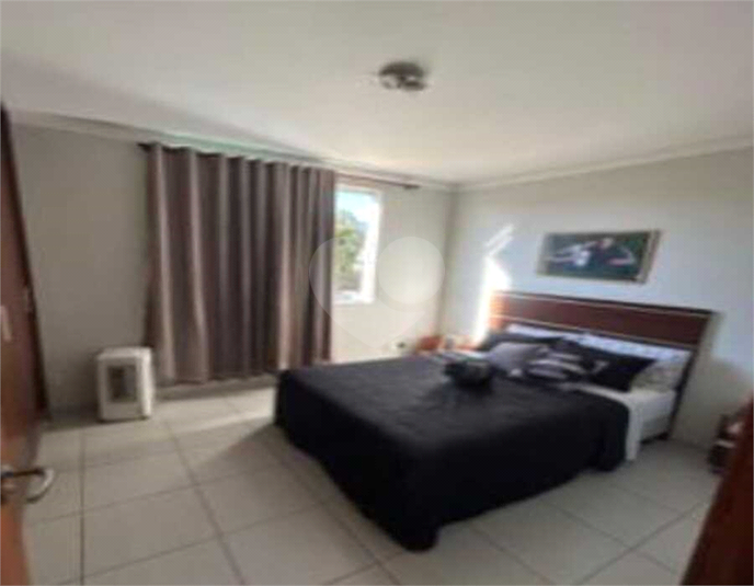 Foto REO1114369