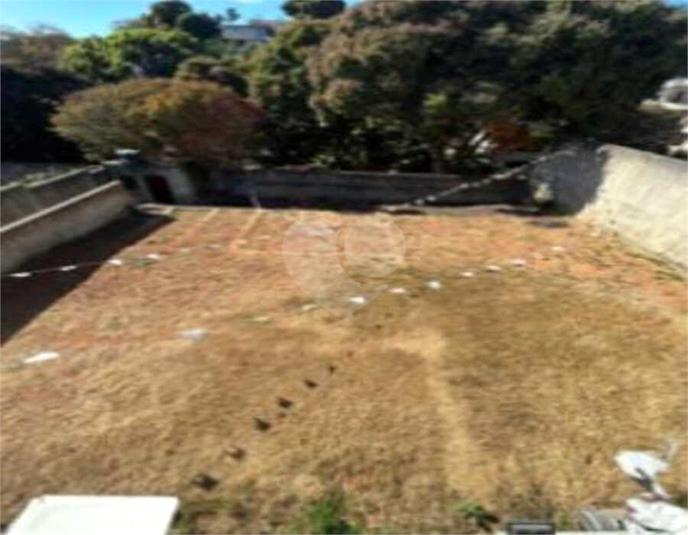 Foto REO1114369