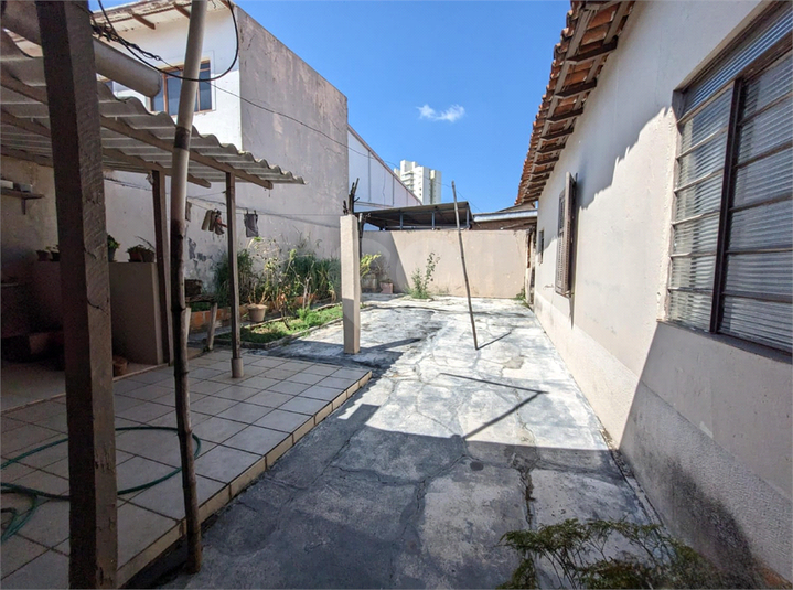 Foto REO1114370