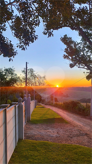 Foto REO1114375