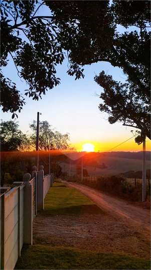 Foto REO1114375