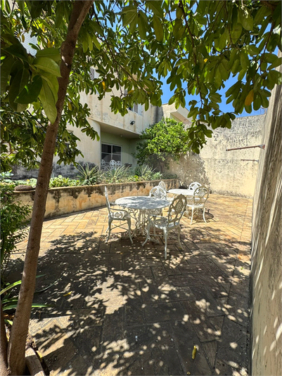 Foto REO1114388