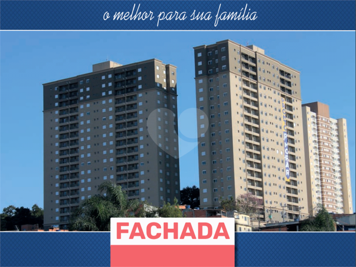 Foto REO1114394