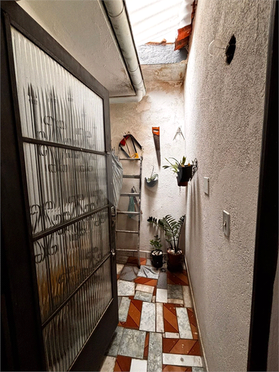 Foto REO1114400