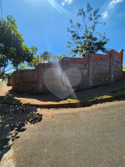 Foto REO1114403