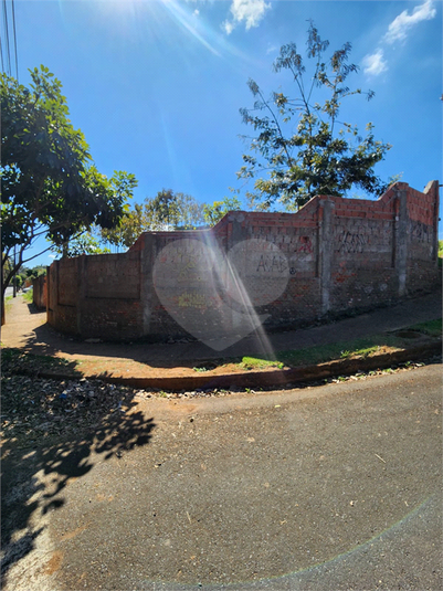 Foto REO1114403