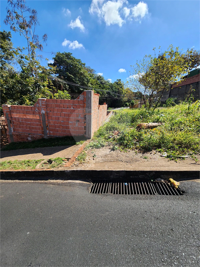 Foto REO1114403