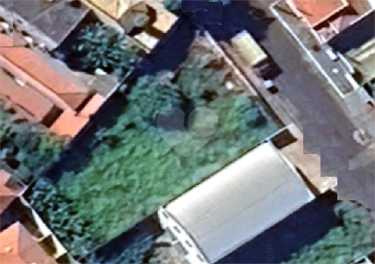 Foto REO1114419