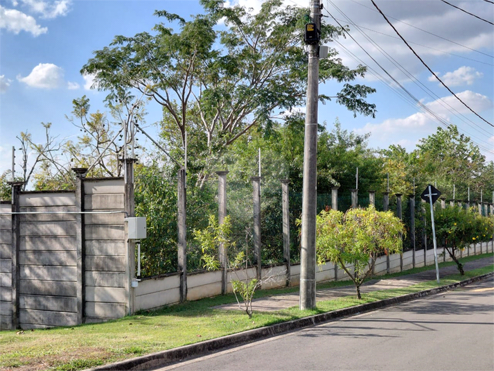 Foto REO1114425