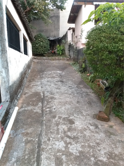 Foto REO1114433