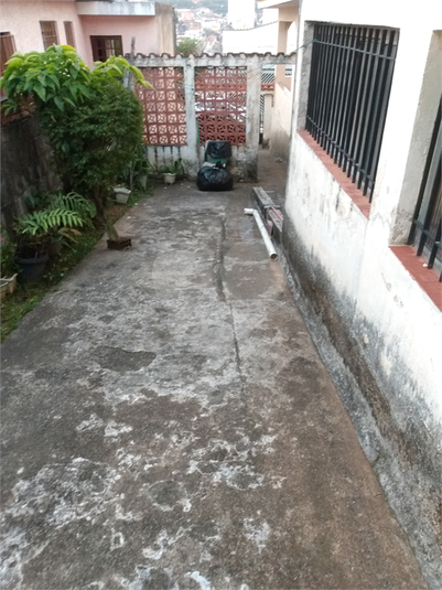 Foto REO1114433