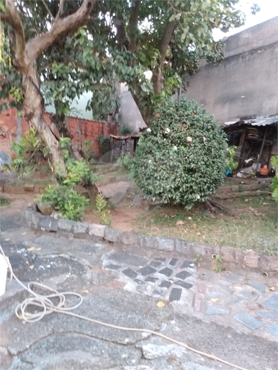 Foto REO1114433