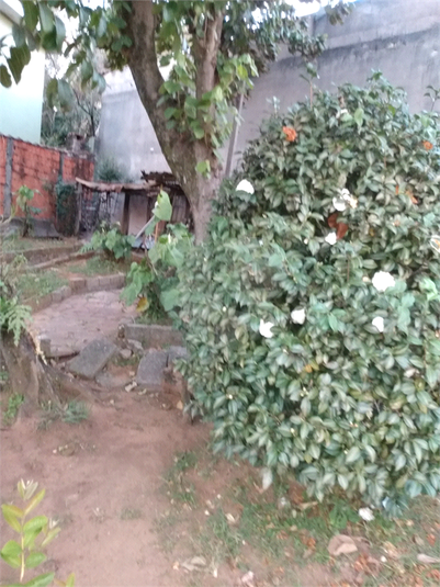 Foto REO1114433