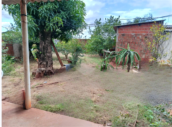 Foto REO1114434
