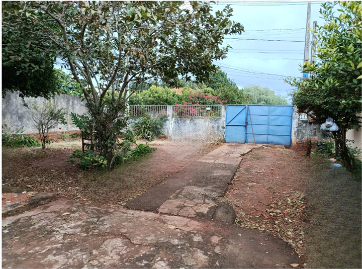 Foto REO1114434