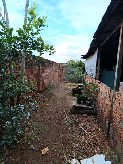 Foto REO1114434
