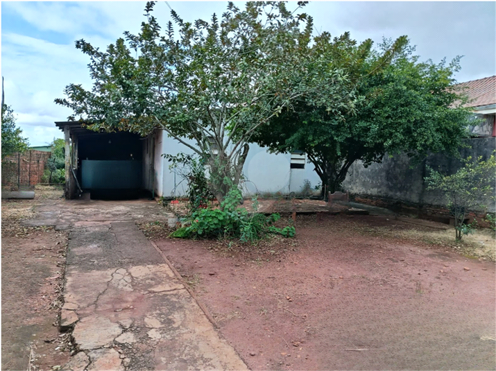 Foto REO1114434