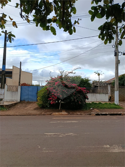 Foto REO1114434