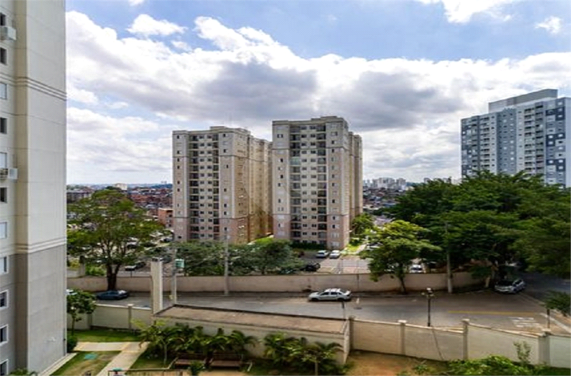 Foto REO1114437