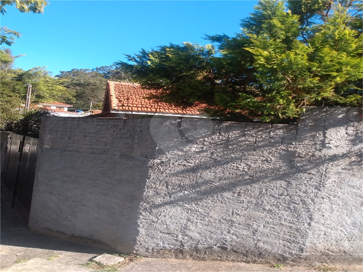 Foto REO1114439